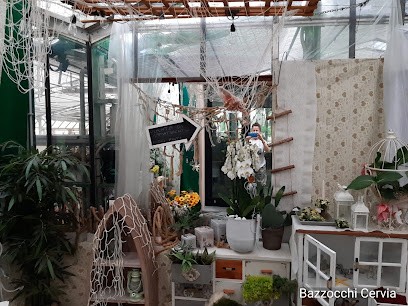 Florist Bazzocchi Primo & C. Snc, Fiorista a Cervia