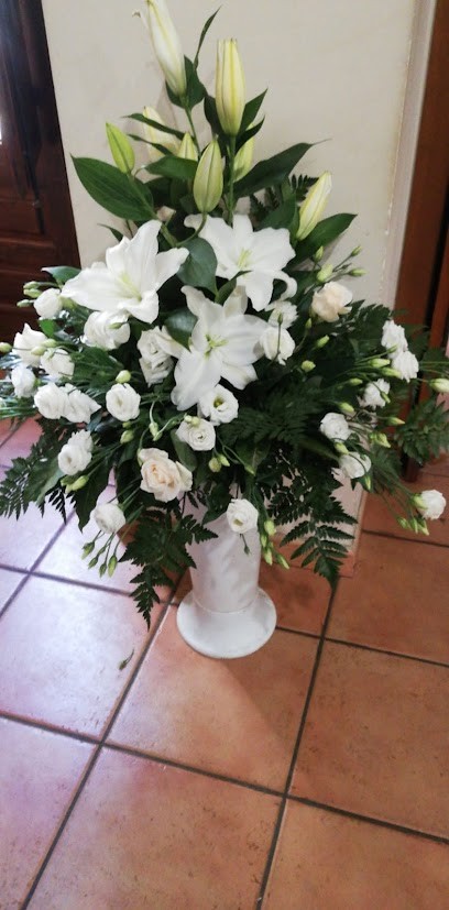 Consegna Fiori E Piante Vittoria - FloraNixena, Fiorista a Vittoria