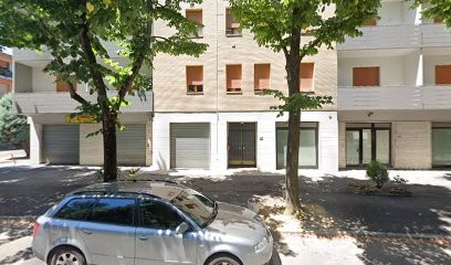 Flowers Di Madda Caterina & C. Sas, Fiorista a Vignola