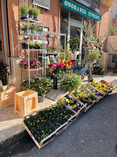 Agenzia Funebre Domenicone, Fiorista a San Giorgio a Liri