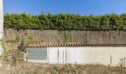 Floricoltura Di Rocco Marino E C. Snc, Fiorista a Roma