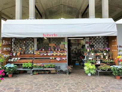 Bertuzzi Roberto - Fiori E Piante, Fiorista a Imola