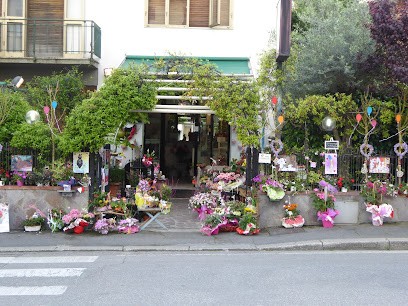 Milena Fiori Di Milena Corsini, Fiorista a Pistoia