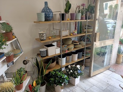 Grossi Alessandro, Fiorista a Roma