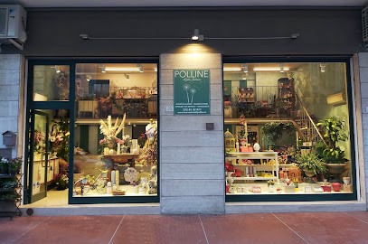 Polline - Floral Design E Balloon Art, Fiorista a Grottammare