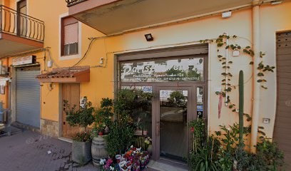 Piante E Fiori- Agenzia Funebre Parisi, Fiorista a Regalbuto