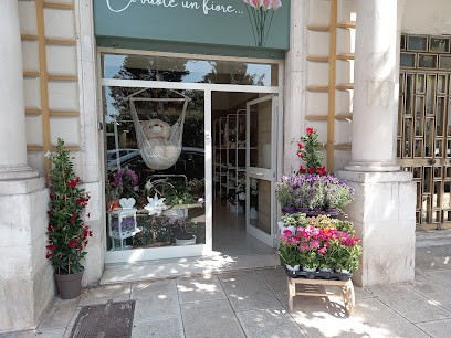 Ci Vuole Un Fiore..., Fiorista a Modugno