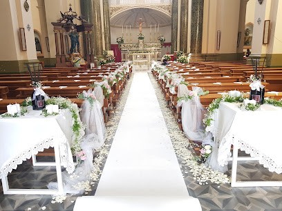 Demarchi, Fiorista a Ceglie Messapica