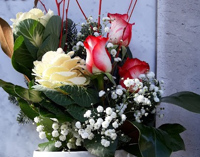 Fioreria Marcello Di Cattarossi Mirko, Fiorista a Udine