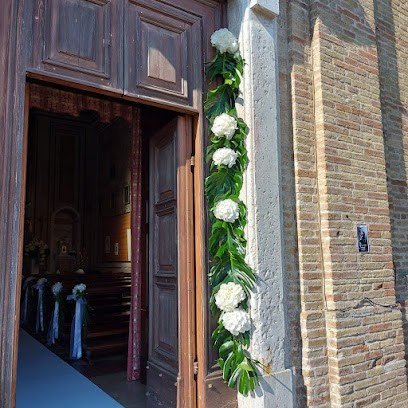 Il Fioraio, Fiorista a Senigallia