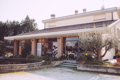 Gardenia di Montanari Paola, Fiorista a Cesena