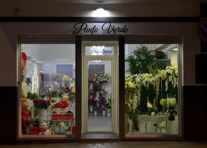 Punto Verde Di Cangiulli Vincenzo, Fiorista a Laterza