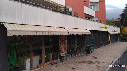 Fioreria Sinfonia Di Fiori Di Katia Comai, Fiorista a Trento