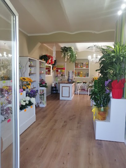 Sandy’s Flowers Boutique, Fiorista a Roccavivara