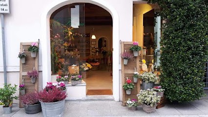 La Fioreria Di Gianluca Baroni, Fiorista a Rivolta d'Adda