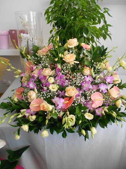 Piante E Fiori Emozioni E Profumi , Fioraio, Fiorista a Tagliacozzo
