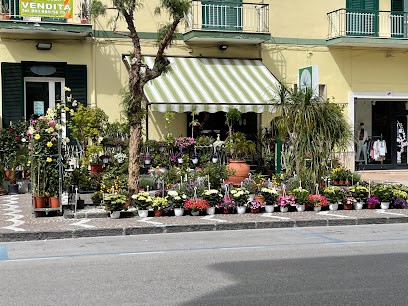 Tendenze... In Fiore, Fiorista a Marigliano