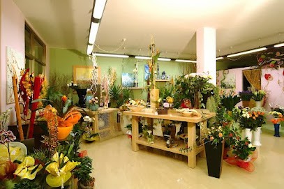 Il Fiore di Maffolini Monica, Fiorista a Pian Camuno