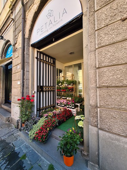 Petalia Snc Di Doroni Deborah E Lippi Barbara, Fiorista a Lucca