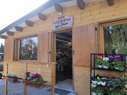 La Ninfea, Fiorista a Cingoli