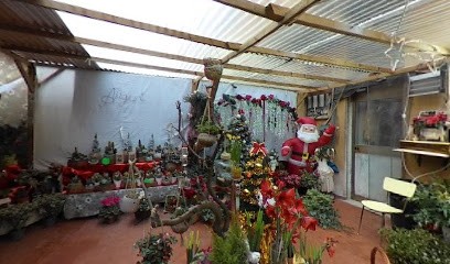 Pace E Amore, Fiorista a Roma