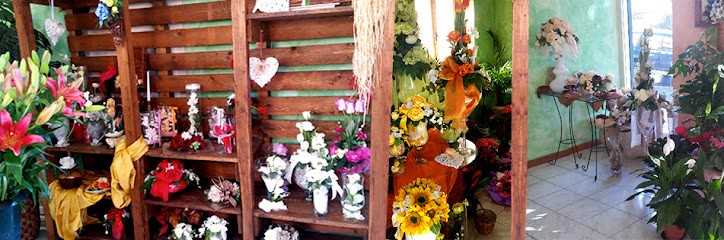 FioriaLadispoli.it, Fiorista a Roma