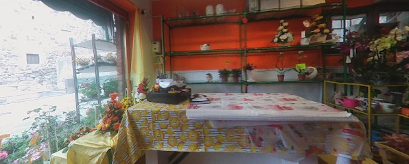 Aria Di Primavera Bolsena, Fiorista a Bolsena