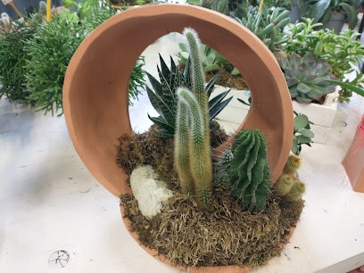 Fioreria Millepetali By Il Glicine, Fiorista a Saonara