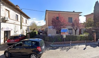 Fiori E Piante Nardi Enrico, Fiorista a Monteroni d'Arbia