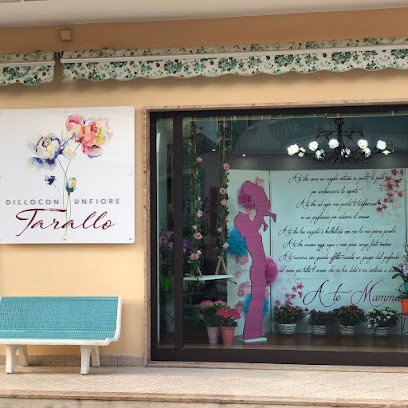 Dillo Con Un Fiore Tarallo, Fiorista a Diamante