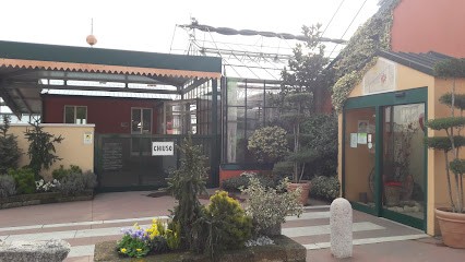 Floricoltura Piubello, Fiorista a Illasi