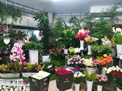 Fioreria Monticella, Fiorista a Conegliano