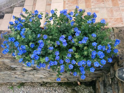 ARTINFLOR AZIENDA FLOROVIVAISTICA Di Quarzago Valter, Fiorista a Trichiana