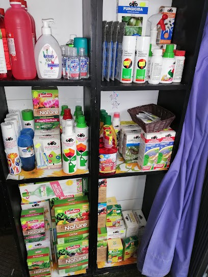 I Fiori In Forlì 2, Fiorista a Forlì