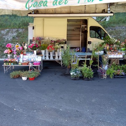 Casa Del Fiore Di Ancillai Gerardo, Fiorista a Macerata