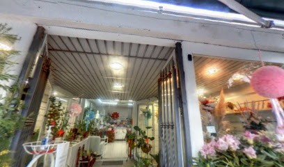 LA STRELITZIA DI Lucia Di Iorio, Fiorista a Ischia