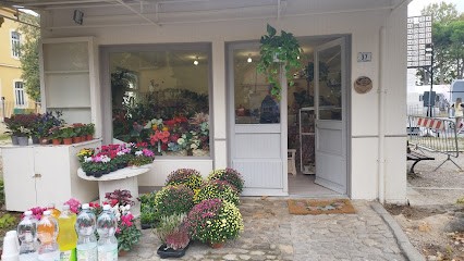 I Fiori Di Maria, Fiorista a Vicopisano