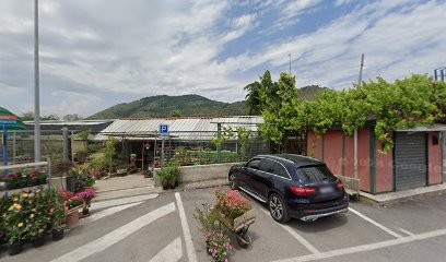 Croxin, Fiorista a Castel San Giorgio