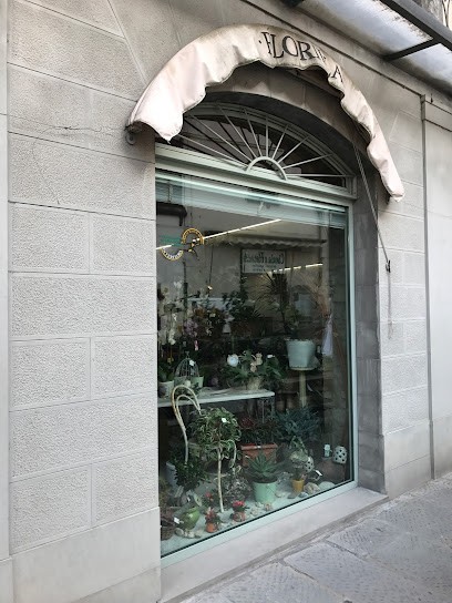 FLORILLA Di Alessandra Samorì, Fiorista a Marradi