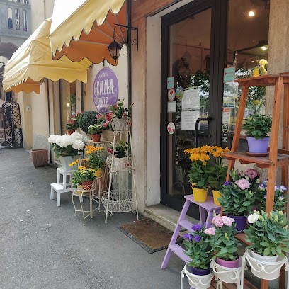Gemma Fiori e... di Simona Borgia, Fiorista a Novi Ligure