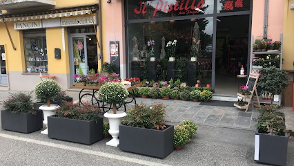 IL PISTILLO, Fiorista a Carpaneto Piacentino