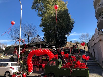Il Girasole Di Magdy, Fiorista a Roma