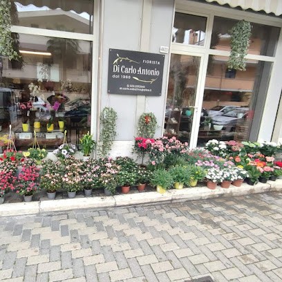 Di Carlo Antonio, Fiorista a Pescara