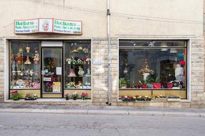 Vincelli Agenzia Funebre, Fiorista a Casacalenda