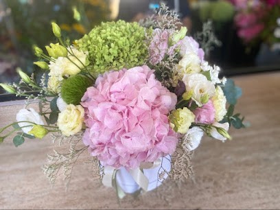 Emozioni Fiori FloWer Design, Fiorista a Vasto