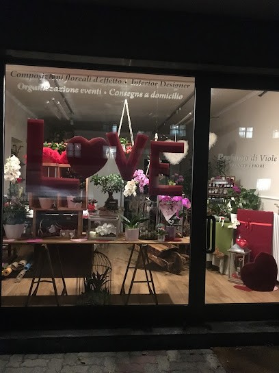Profumo Di Viole, Fiorista a Dubino