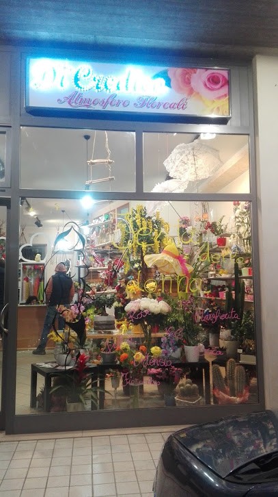 Di Credico Atmosfere Floreali, Fiorista a San Salvo