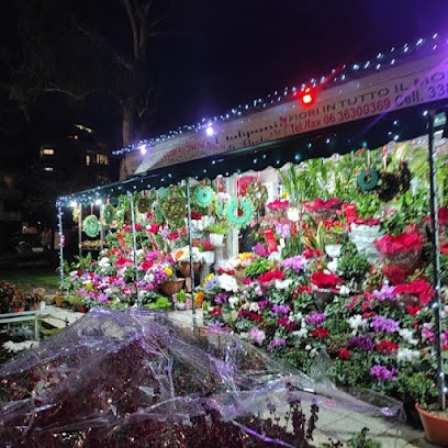 I Tulipani Di Paolo, Fiorista a Roma
