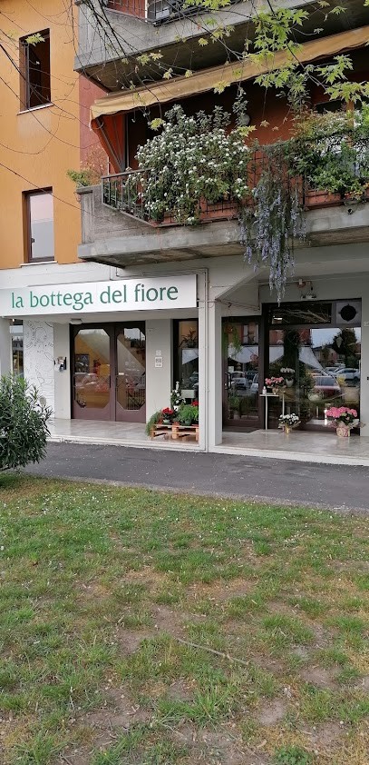 la bottega del fiore, Fiorista a Bagnolo Mella