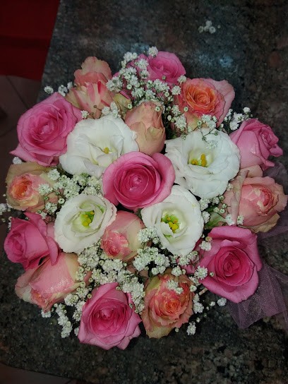 Oasi Verde Sas Di Corrado Rosina C., Fiorista a Policoro